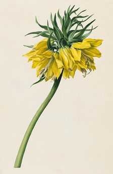 Imperial crown, 1830/1840. Creator: Moritz Michael Daffinger