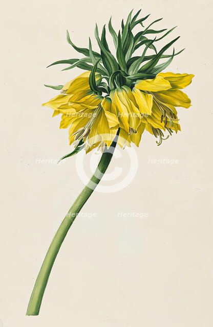 Imperial crown, 1830/1840. Creator: Moritz Michael Daffinger.