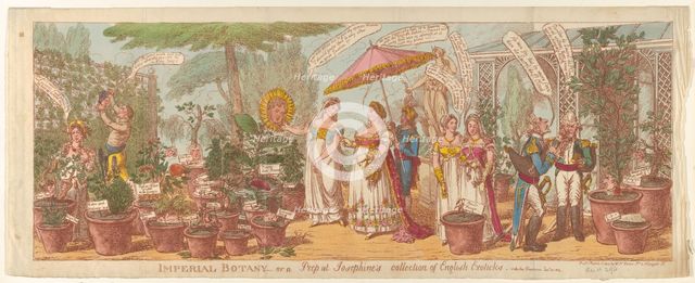 Imperial Botany - or a Peep at Josephine's Collection of English Exoticks, vide t..., March 1, 1814. Creator: Attributed to Charles Williams.