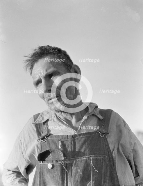 Imperial Valley, California, 1935. Creator: Dorothea Lange.