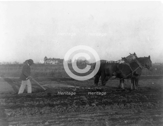 Improved method of plowing, (1899?). Creator: Frances Benjamin Johnston.