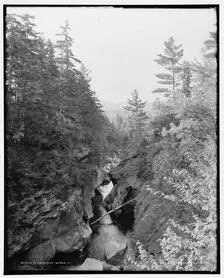In Cavendish gorge, Vt., between 1900 and 1906. Creator: Unknown