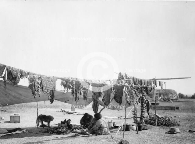 In camp, 1908, c1908. Creator: Edward Sheriff Curtis.