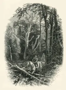 In Cedar Walk, Virginia Water c1870
