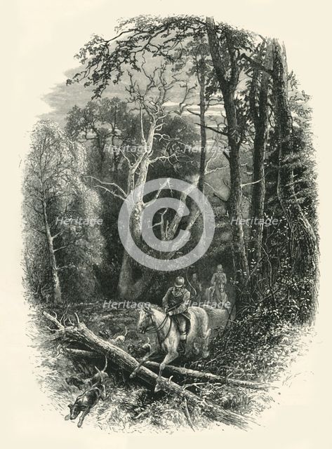 'In Cedar Walk, Virginia Water', c1870.