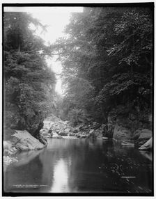 In Clarendon Gorge, Green Mountains, between 1900 and 1906. Creator: Unknown