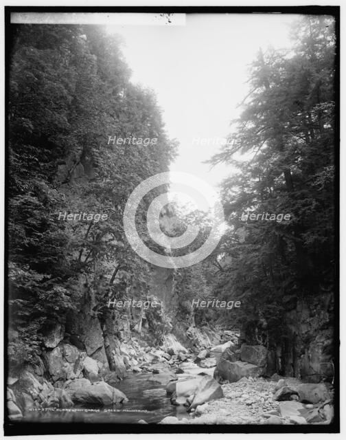 In Clarendon Gorge, Green Mountains, between 1900 and 1906. Creator: Unknown.