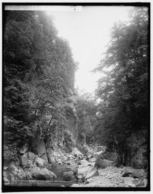 In Clarendon Gorge, Green Mountains, between 1900 and 1906. Creator: Unknown