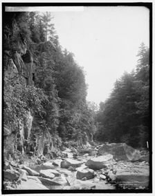 In Clarendon Gorge, Green Mountains, between 1900 and 1906. Creator: Unknown