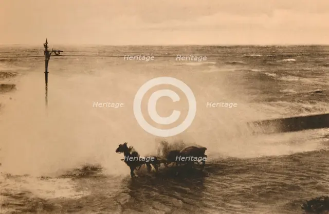 'In a Wave',  c1928. Artist: Unknown.
