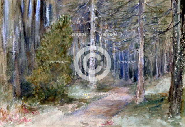 'In a Wood', c1864-1930.                       Artist: Anna Lea Merritt