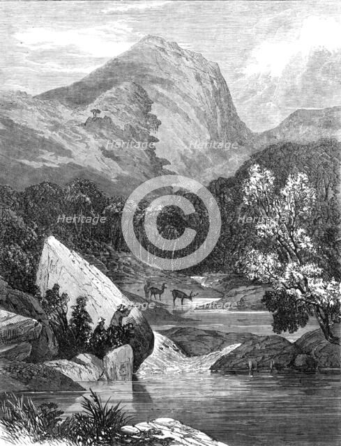 In a Brazilian forest: waiting for a shot, 1864. Creator: Unknown.