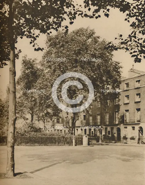 'In Boarding-House Land: The Plane Trees of Torrington Square', c1935. Creator: Donald McLeish.