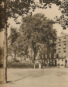 In Boarding-House Land: The Plane Trees of Torrington Square c1935. Creator: Donald McLeish