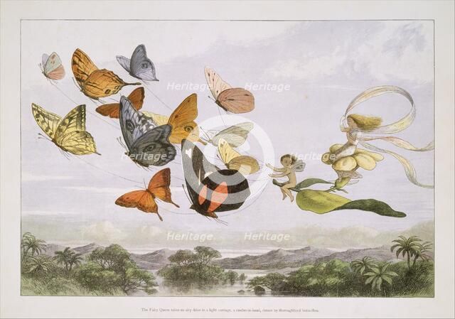 In Fairyland: A Series of Pictures from the Elf-World, 1870. Creator: Edmund Evans.