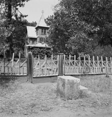 In fruit country along the Rogue River, near Medford, Southern Oregon, 1939. Creator: Dorothea Lange