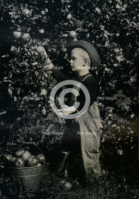 'In One Of Ontaario's Fruitful Orchards', c1934. Artist: Unknown.