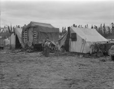 In one of the largest pea camps in California, 1936. Creator: Dorothea Lange