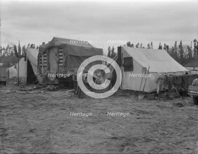 In one of the largest pea camps in California, 1936. Creator: Dorothea Lange.
