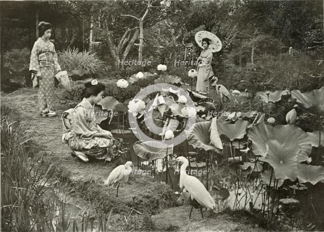 'In Lotus-Land', 1910. Creator: Herbert Ponting.