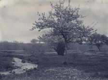 In May, c1900. Creator: Frances S. Allen