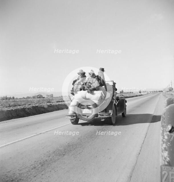 In search of employment as pea pickers, on U.S. 80, Imperial Valley, California, 1939. Creator: Dorothea Lange.