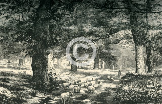 'In Sherwood Forest', c1870.