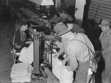In packing shed, grading and sacking potatoes..., Tulelake, Siskiyou County, California, 1939. Creator: Dorothea Lange