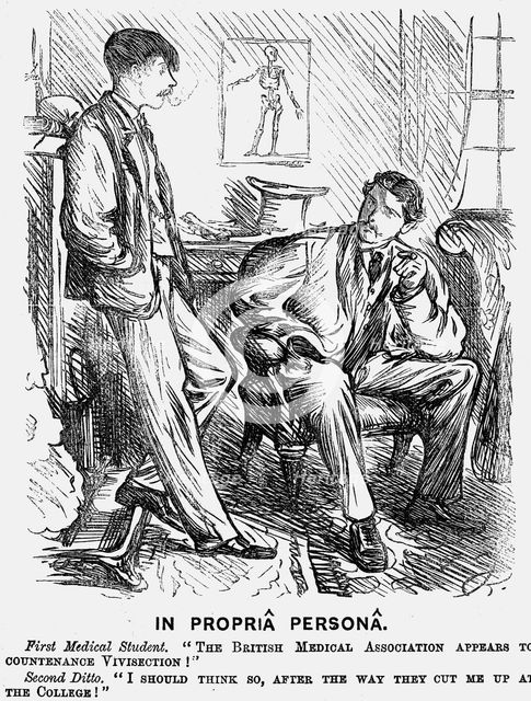 'In Propriâ Personâ', 1875.   Creator: Charles Samuel Keene.