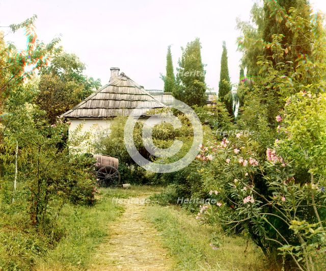 In the monastery's garden, Novyi Afon, between 1905 and 1915. Creator: Sergey Mikhaylovich Prokudin-Gorsky.