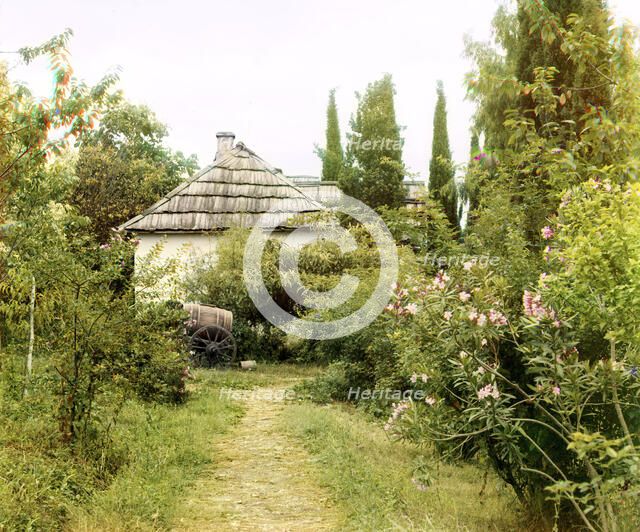 In the monastery's garden, Novyi Afon, between 1905 and 1915. Creator: Sergey Mikhaylovich Prokudin-Gorsky.