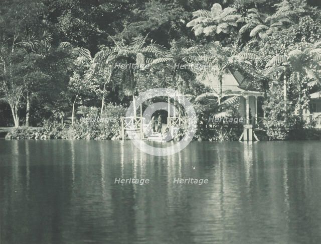 In the New Plymouth Recreation Grounds. From the album: Record Pictures of New Zealand, 1920s. Creator: Harry Moult.