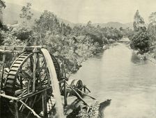 In the Ovens River, Germantown 1901. Creator: Unknown
