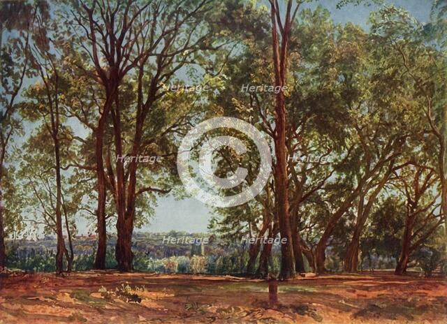 'In the Aricci Park', 1830s, (1965). Creator: Aleksandr Ivanov.