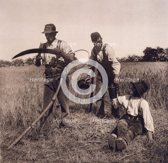 In the Barley Harvest, 1890. Creator: Peter Henry Emerson.
