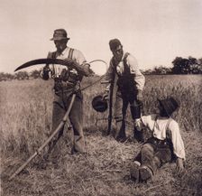 In the Barley Harvest, 1890. Creator: Peter Henry Emerson