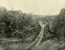 In the Blackall Ranges 1901. Creator: Unknown