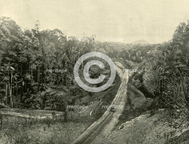 'In the Blackall Ranges', 1901. Creator: Unknown.