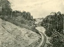 In the Blackall Ranges 1901. Creator: Unknown