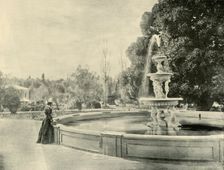 In the Botanic Gardens, Adelaide 1901. Creator: Unknown