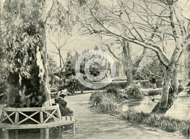 'In the Botanic Gardens, Adelaide', 1901. Creator: Unknown.