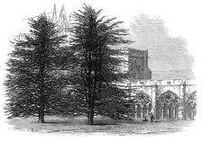 In the Cloisters, Salisbury, 1872. Creator: Unknown