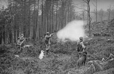 In The Coverts c1902, (1903). Artist: Charles Reid