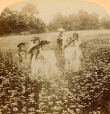 In the Daisy Field: "Sweet Flow'ret of the Rural Glade 1896. Creator: Unknown
