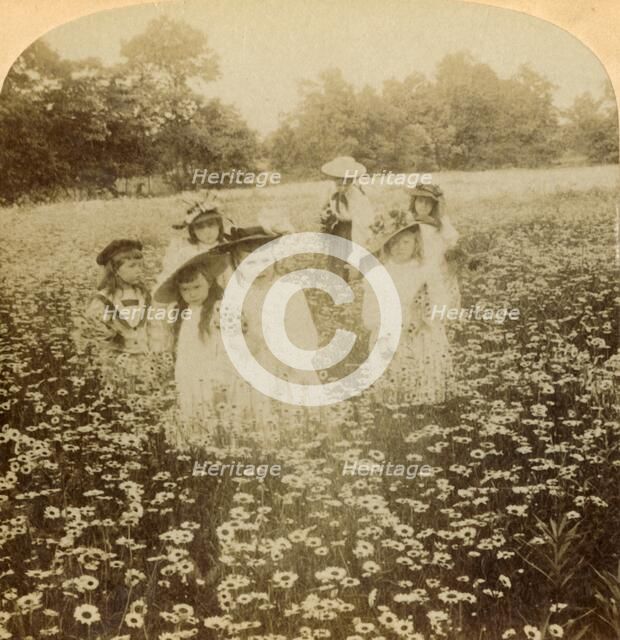 'In the Daisy Field: "Sweet Flow'ret of the Rural Glade', 1896. Creator: Unknown.
