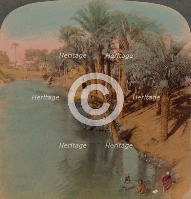 'In the Fayum, the richest Oasis in Egypt on Bahr Yussef (River Joseph), to the Nile', 1902. Artists: Elmer Underwood, Bert Elias Underwood.