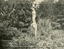 In the Fitzroy Gardens, Melbourne 1901. Creator: Unknown