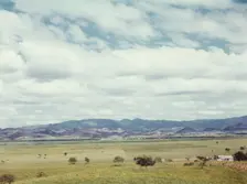 In the flat cattle country in the south western tip of Puerto Rico, 1942. Creator: Jack Delano