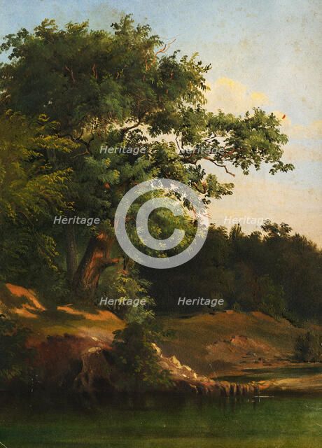 In the Forest, 1860-1890. Creator: Friedrich Carl von Scheidlin.