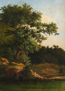 In the Forest, 1860-1890. Creator: Friedrich Carl von Scheidlin